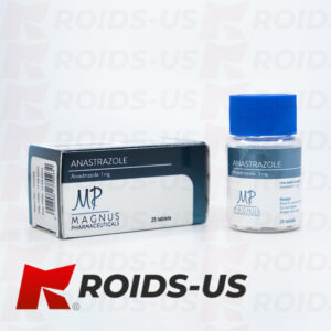 Anastrozole Magnus 1 mg