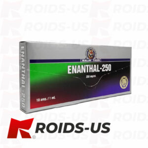 Testosterone Enanthate Malay Tiger Enanthal-250 250 mg/ml