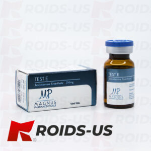 Testosterone Enanthate Magnus Test E 250 mg/ml