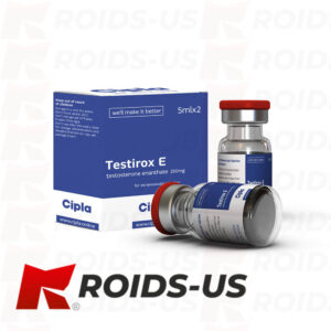 Testosterone Enanthate Cipla Testirox E 250 mg/ml