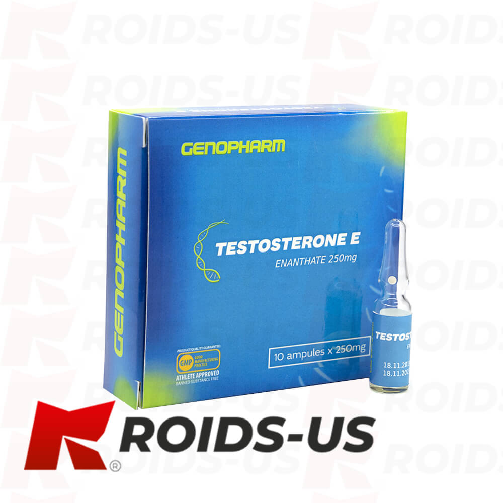 Testosterone Enanthate Genopharm Testosterone E 250 mg/ml for sale in ...